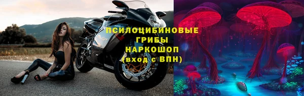 молекула духа Пестово