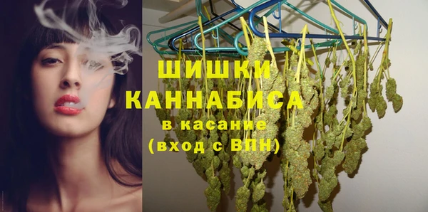 молекула духа Пестово