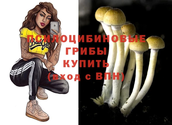 MDMA Переславль-Залесский