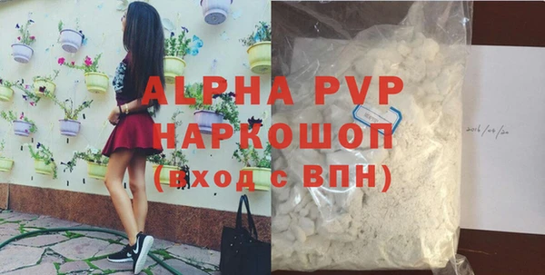 молекула духа Пестово