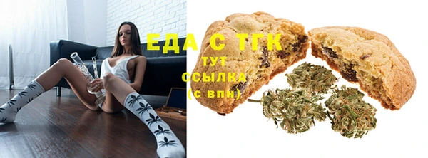 молекула духа Пестово
