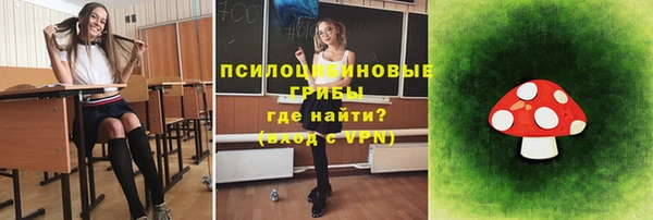 ПСИЛОЦИБИНОВЫЕ ГРИБЫ Осташков