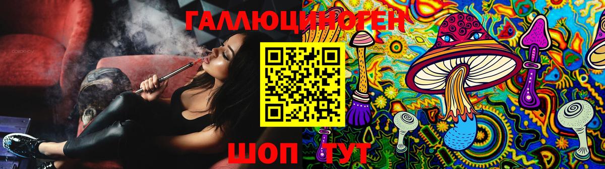 Ишим  Псилоцибиновые грибы Psilocybe  Вход с VPN 